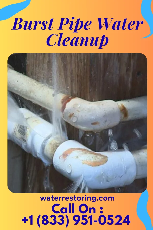 Burst Pipe Water Cleanup in Laurium, MI