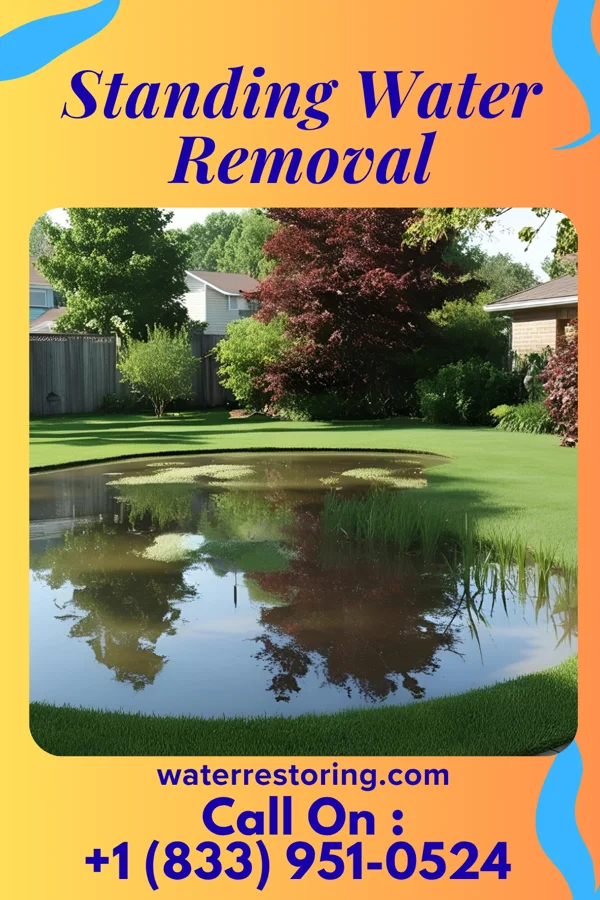 Standing Water Removal in Laurium, MI